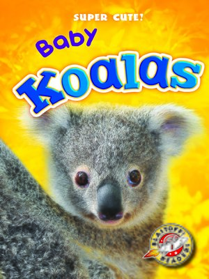 cover image of Baby Koalas